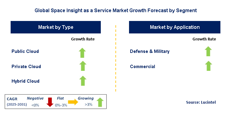 Space Insight as a Service Market by Segment